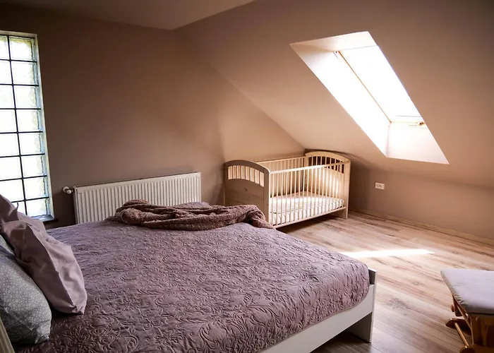 Apartman Pipacs *